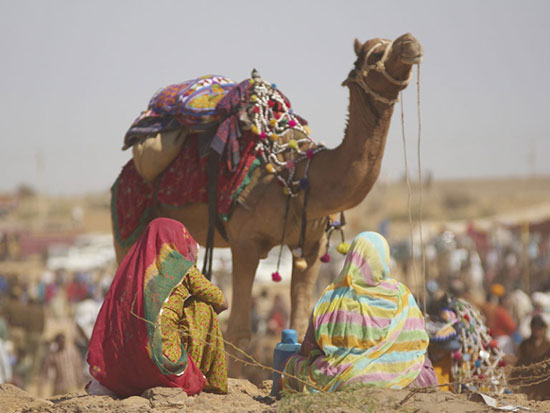 زیباترین صحراهای جهان