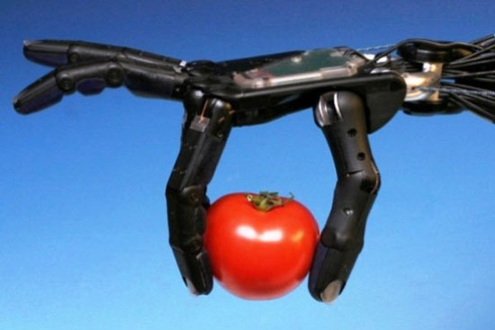 تشخیص گوجه فرنگی رسیده در دنیای روباتها