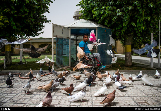 عکس: حال و هوای این روزهای کهریزک