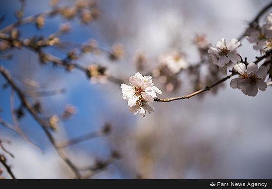 طبیعت بهاری آذربایجان شرقی