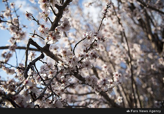 طبیعت بهاری آذربایجان شرقی