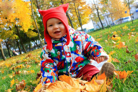 تصاویر: صدای پاییز طلایی و زیبایی هایش