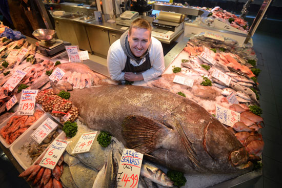 صید بزرگ ترین ماهی خاردار جهان با وزن 192 کیلوگرم