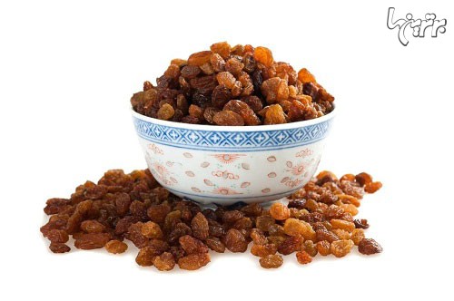 10 خوراک خطرناک که انسانها به گربههای بیچاره میدهند 10 خوراک خطرناک که انسانها به گربههای بیچاره میدهند