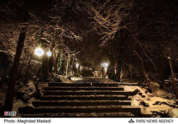 گزارش تصویری از شب سرد زمستانی تهران