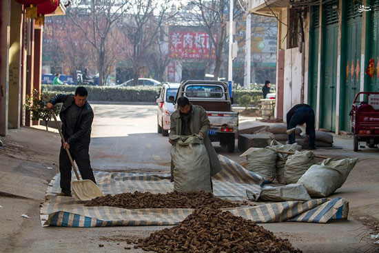 عکس: بزرگترین بازار طب سنتی جهان