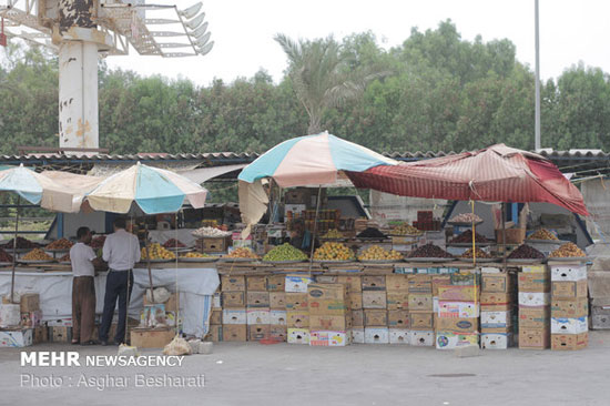 بازار ماهی و میوه جزیره قشم در تابستان