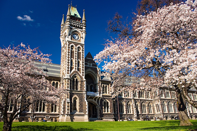 با زیباترین دانشگاه های دنیا آشنا شوید
