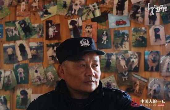 خانه‌ای در چین برای سگ‌های پلیس بازنشسته
