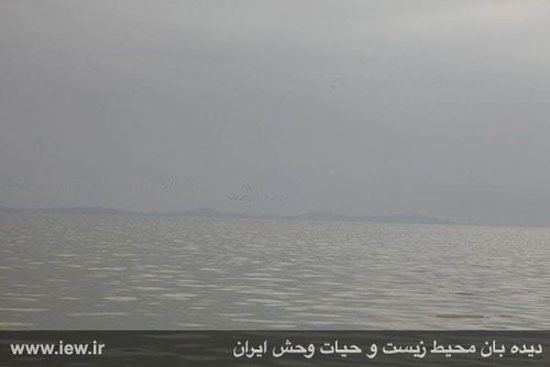 قایق سواری در دریاچه ارومیه +عکس