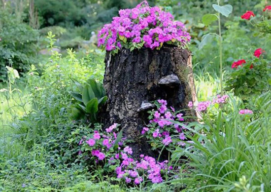 تبدیل درختان قدیمی به گلدان های زیبا