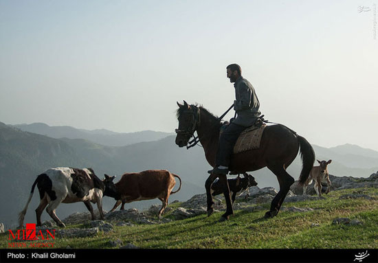 عکس: سوباتان بهشت ایران