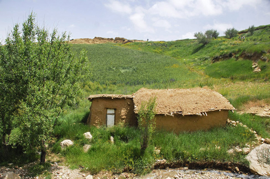 گزارش «اسپوتنیک» از روستایی در شمال ایران