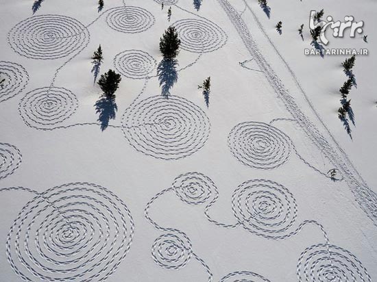 هنرنمایی زیبا با قدم زدن روی برف!/ عکس