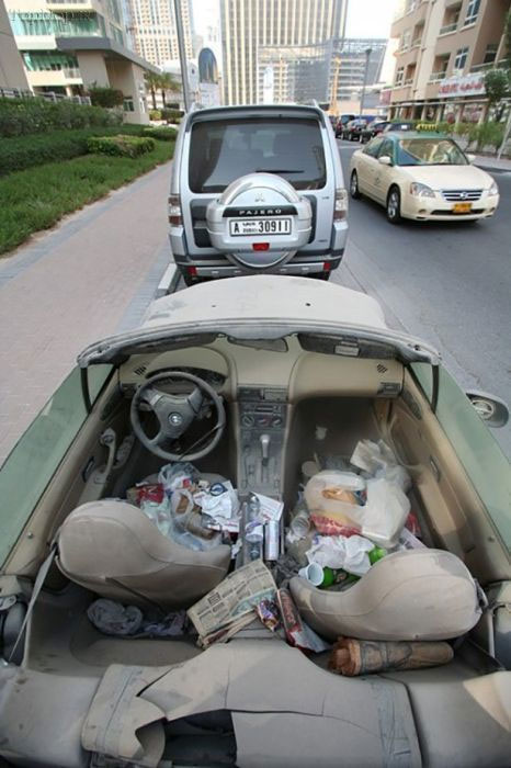 صحنه های شوکه کننده در دوبی +عکس