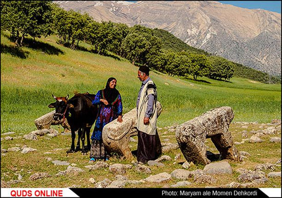 شیر در قبرستان های ایران +عکس