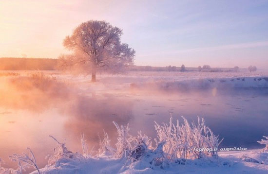 زیبایی های فریبنده صبح گاه زمستانی