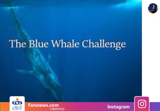 هشدار وزیر ارتباطات درباره بازی «نهنگ آبی»