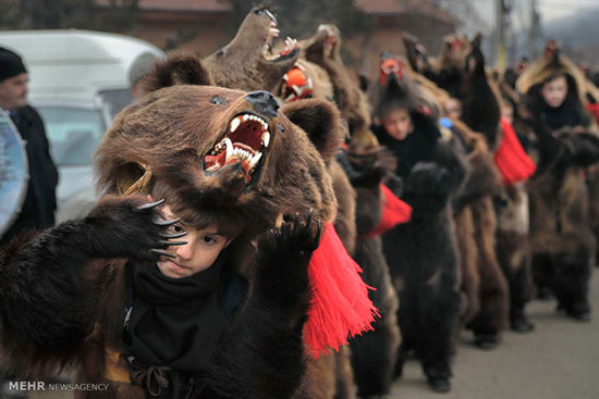 مراسم رقص خرس‌ها در رومانی