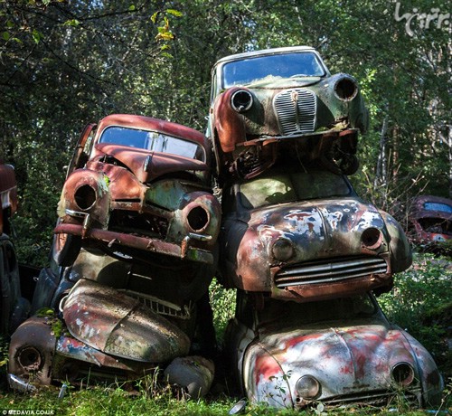 قبرستان خودروهای کلاسیک در سوئد +عکس