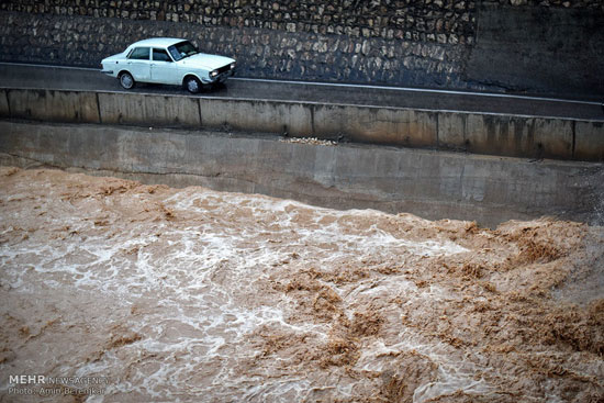 عکس: بارش باران در شیراز