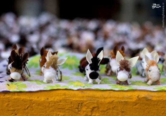 تصاویری جالب از جشنواره الاغ‌ها در مکزیک