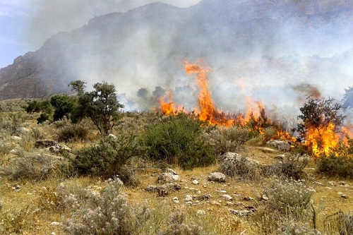 بیش از ۱۰۰هکتار از اراضی میانکاله در آتش سوخت