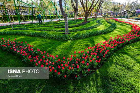 هفتمین جشنواره گل‌های لاله البرز