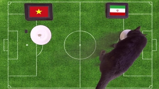 گربه پیشگو، بُرد ایران مقابل ویتنام را پیش‌بینی کرد