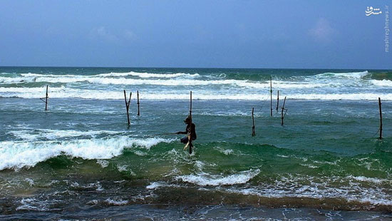 ماهیگیری به شیوه‌ای عجیب در سریلانکا