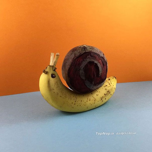 هنرنمایی بامزه با مواد غذایی +عکس