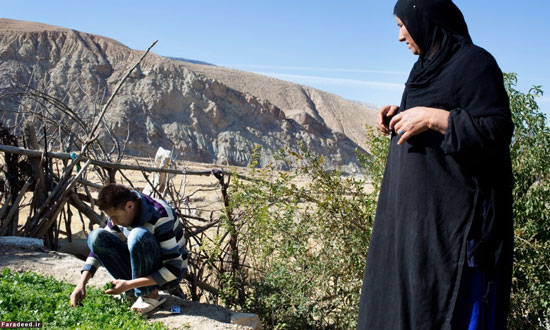 روایتی تلخ از «بازار کلیه» در ایران