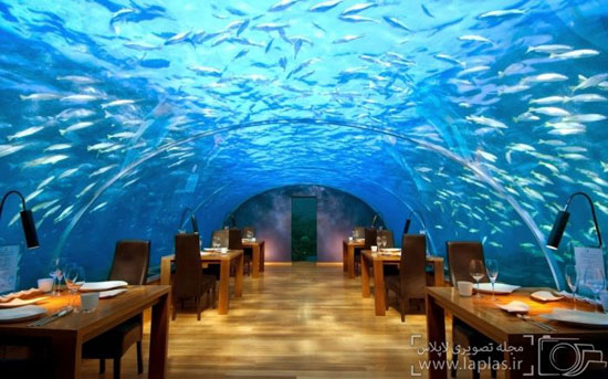 رستورانی زیر آب +عکس
