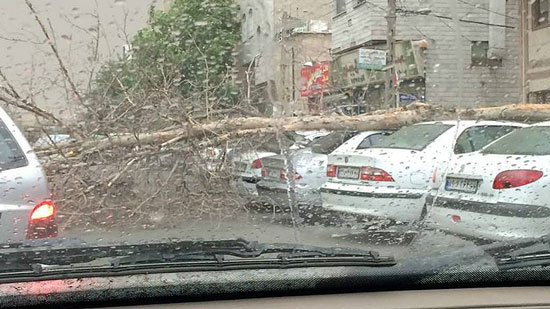 عکس های مردمی از طوفان مرگبار تهران