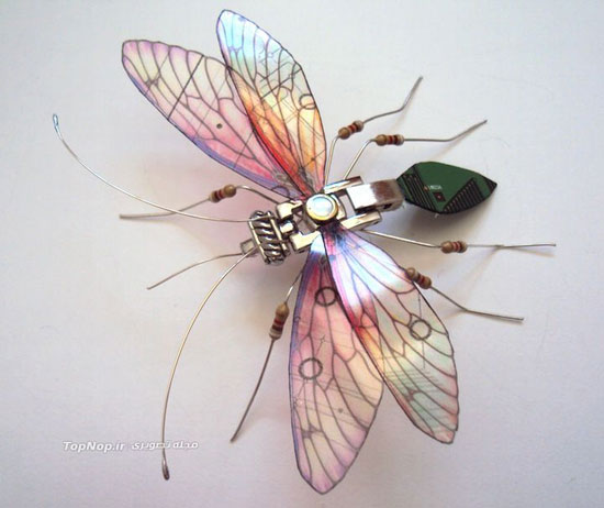حشرات زیبای الکترونیکی +عکس