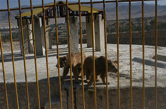 وضعیت اسفبار حیوانات یک باغ‌ وحش +عکس