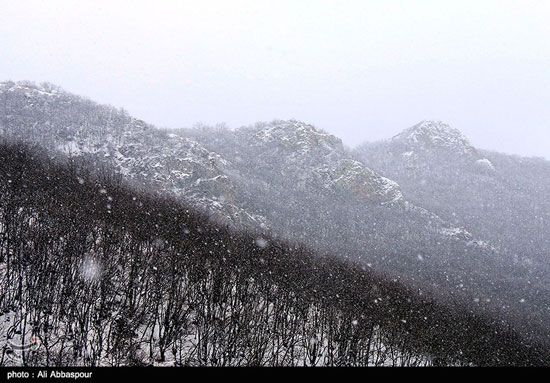 عکس: زیبایی طبیعت زمستانی کلیبر