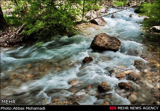 طبیعت بهاری روستای آب ملخ