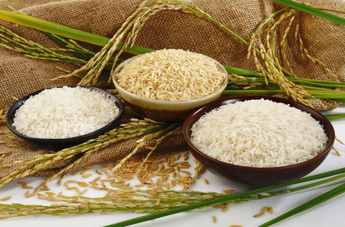 باور‌های غلط در مورد برنج و لاغری