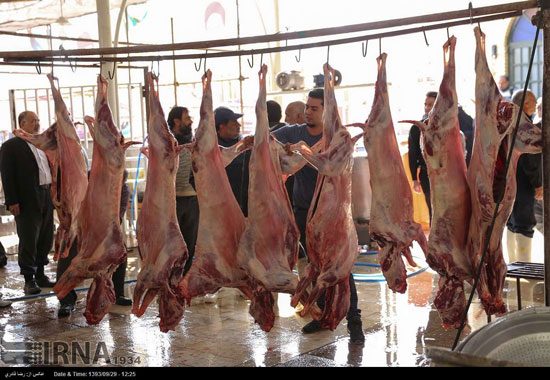 عکس: پخت آش 80 تنی در شیراز