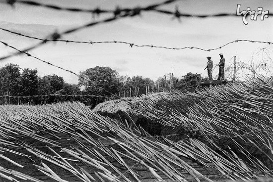 جنگ ویتنام را از زاویه تازه‌ای ببینید