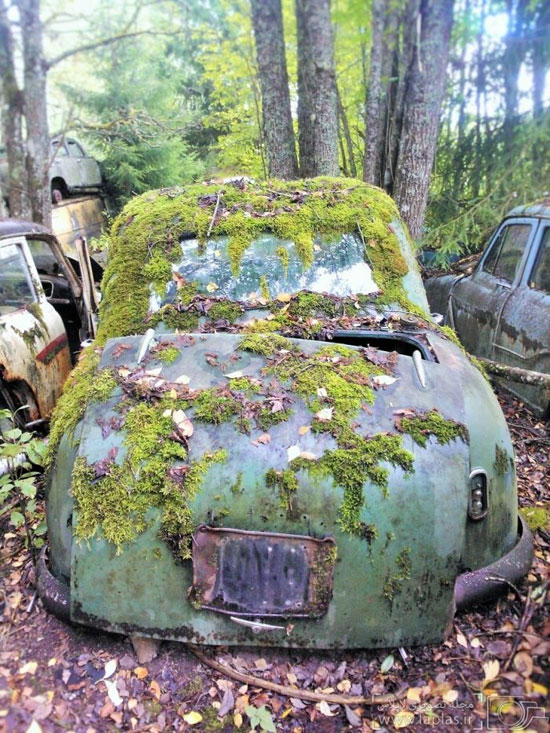 صدها اتومبیل قدیمی پنهان در جنگل!
