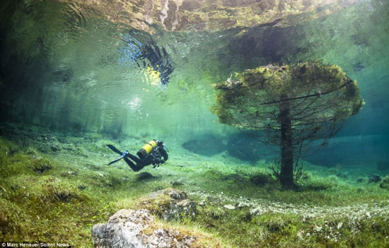 تصاویری دیدنی از پارک زیر آب در اتریش