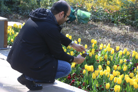 یک روز آفتابی در باغ ایرانی
