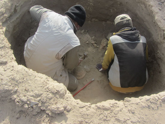 کشف یک اثر 5000 ساله در سیستان +عکس