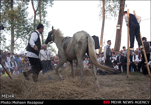 عکس؛ برگزاری جشن خرمن