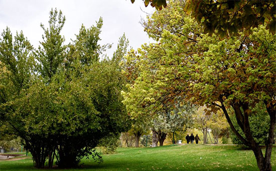 پارک های شیراز؛ تفرجگاه هایی در قلب شهر