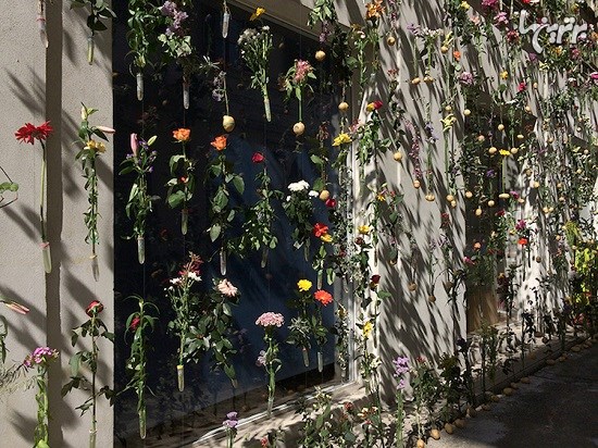 پوشاندن نمای ساختمان با پرده ای از 2000 گل
