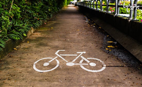 بزرگراه مخصوص دوچرخه سواران +عکس