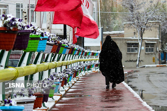 چهره زمستانی بهار در اردبیل